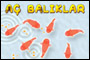 Canın çok mu sıkılıyor, balıklara yem at geçsin :)