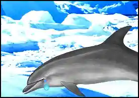 Ağlayan Yunus Balığı - Temiz hava almak için su yüzeyine çıkan yunus balığı aniden donan su yüzünden dışarıda kalır buzu kırıp suya girmesi çok zordur