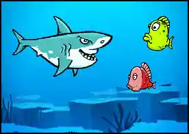 Çevik Köpekbalığı - Hızlı ve çevik köpekbalığımız okyanusta önün çıkan tüm balıkları kaparak yiyor