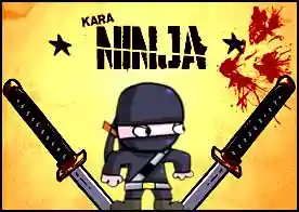 Kara Ninja - Kar Ninja ile birlikte 40 bölümlük bir maceraya atıl