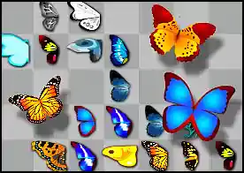 Kelebek Koleksiyonu - Kelebek kanadı koleksiyonundaki aynı tip kelebek kanatlarını birleştirip kelebeği uçurun
