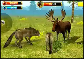 Kurt Simülatörü 3D - Kurt simülatörü ile bir kurt olarak 3D ormanda dolaş vahşi hayvanları avla verilen görevleri yap kendi aileni kur