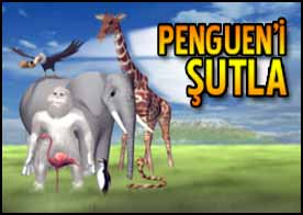 Pengueni Şutla oyununu oynamak için tıkla.