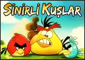 Sinirli Kuşlar - Cep telefonlarının en meşhur oyunu Angry Birds :)