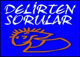 Delirten Sorular