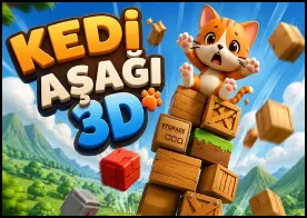 Kedi Aşağı 3D