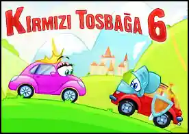 Kırmızı Tosbağa 6