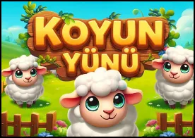 Koyun Yünü