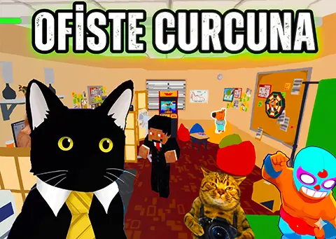 Ofiste Curcuna