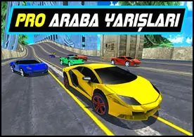 Pro Araba Yarışları