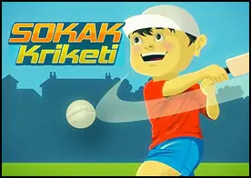 Sokak Kriketi